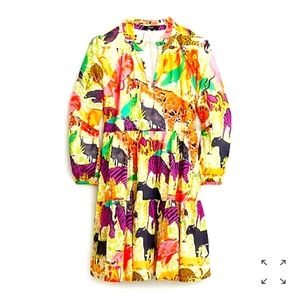 J. Crew popover dress